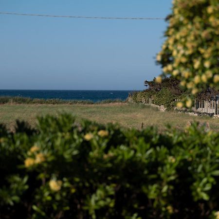 Villa Marisole トッレ・カンネ エクステリア 写真