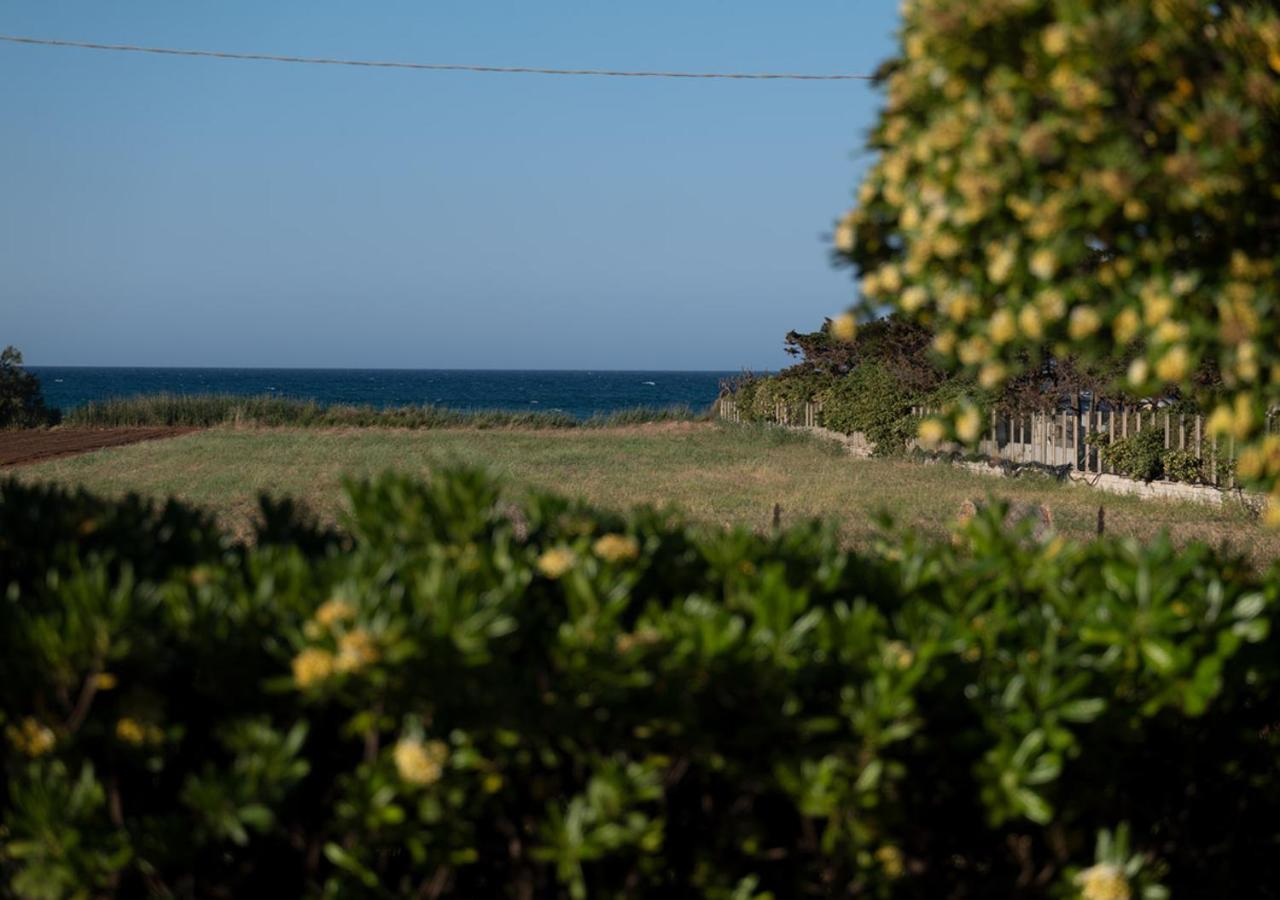 Villa Marisole トッレ・カンネ エクステリア 写真